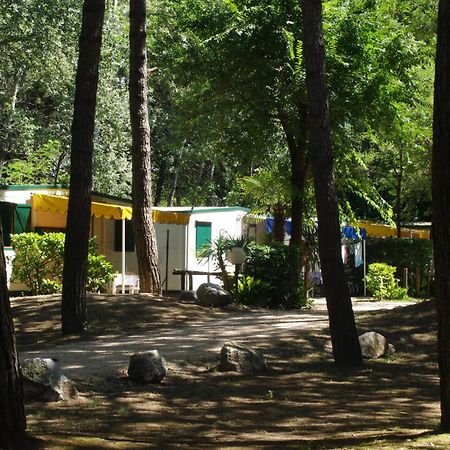 Holiday Center Valdor Кавалино-Трепорти Екстериор снимка